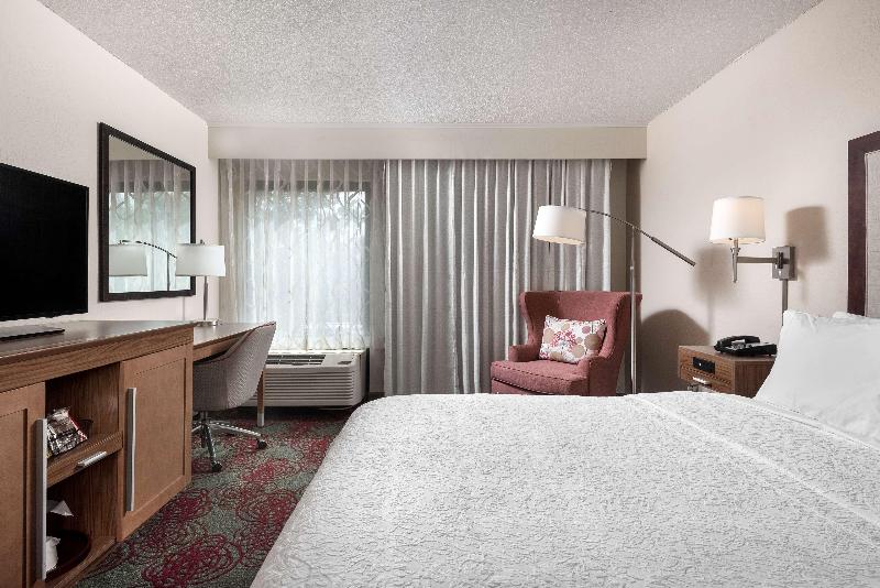 اتاق استاندارد با تخت دو نفره بزرگ, Hampton Inn Debary/deltona
