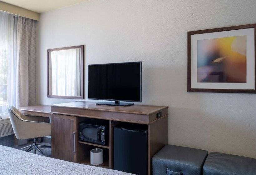 اتاق استاندارد با تخت بزرگ, Hampton Inn By Hilton Irvine East   Lake Forest