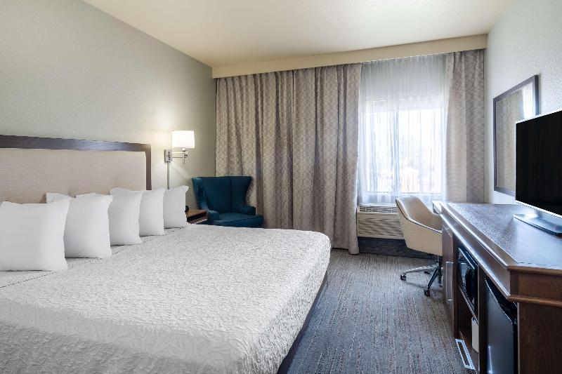 اتاق استاندارد با تخت بزرگ, Hampton Inn By Hilton Irvine East   Lake Forest