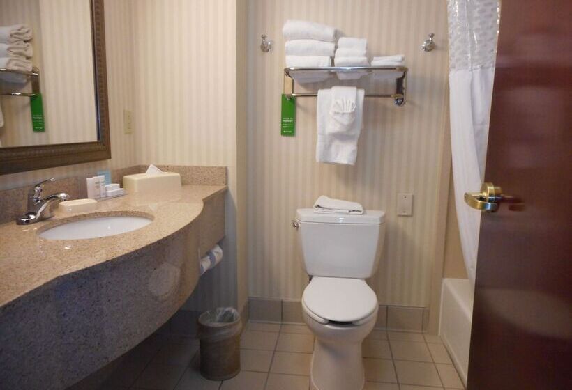 اتاق استاندارد با تخت بزرگ, Hampton Inn Ithaca