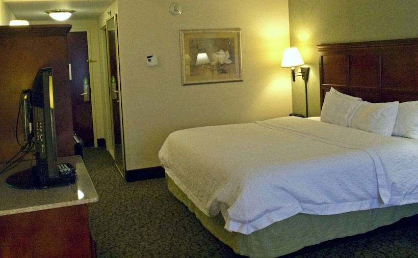 اتاق استاندارد با تخت بزرگ, Hampton Inn Ithaca