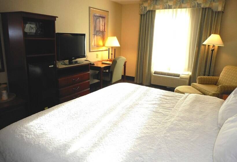 اتاق استاندارد با تخت بزرگ, Hampton Inn Ithaca