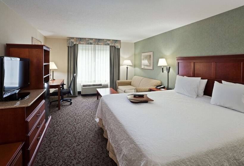 اتاق استاندارد با تخت بزرگ, Hampton Inn Ithaca