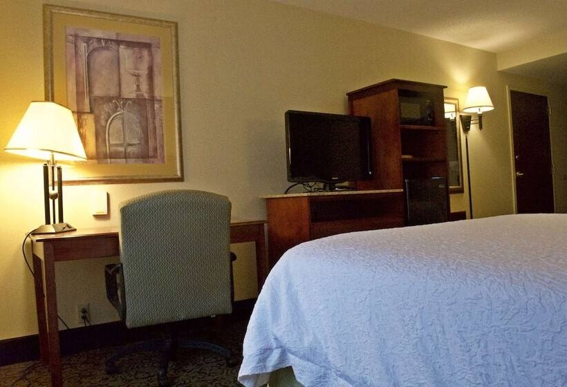 اتاق استاندارد با تخت بزرگ, Hampton Inn Ithaca