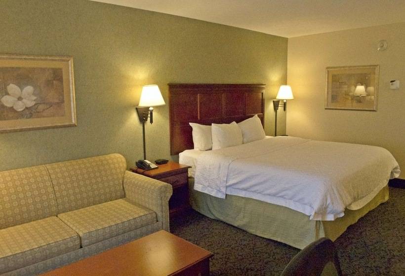 اتاق استاندارد با تخت بزرگ, Hampton Inn Ithaca