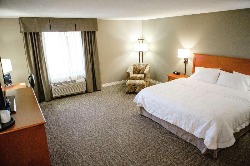 اتاق استاندارد با تخت بزرگ, Hampton Inn Mitchell