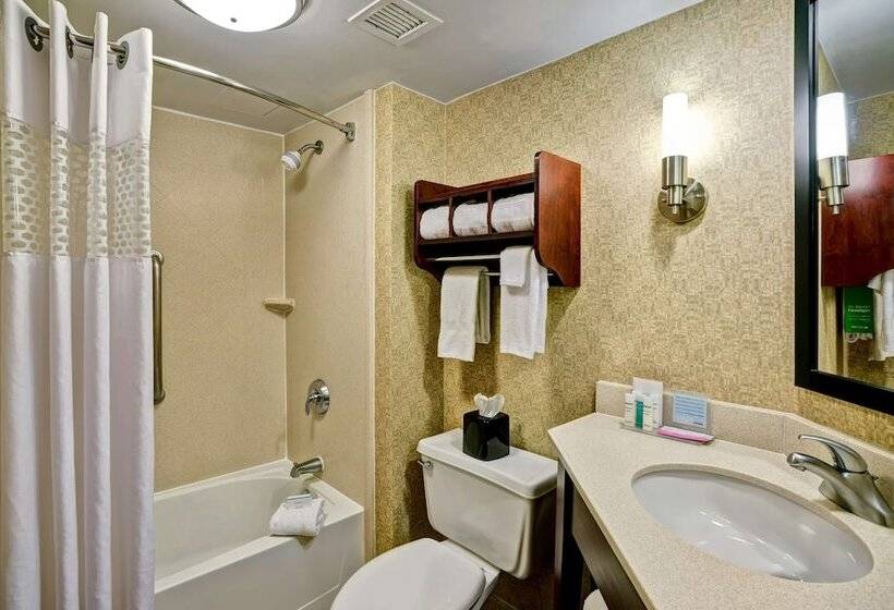 غرفه قياسيه سريرين مزدوجين, Hampton Inn Morgantown