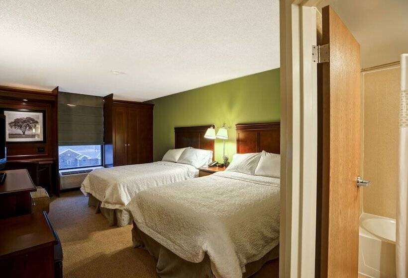 اتاق استاندارد با 2 تخت دوبل, Hampton Inn Morgantown