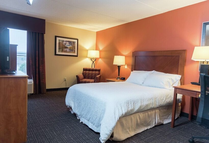 اتاق استاندارد برای معلولان, Hampton Inn Muskegon