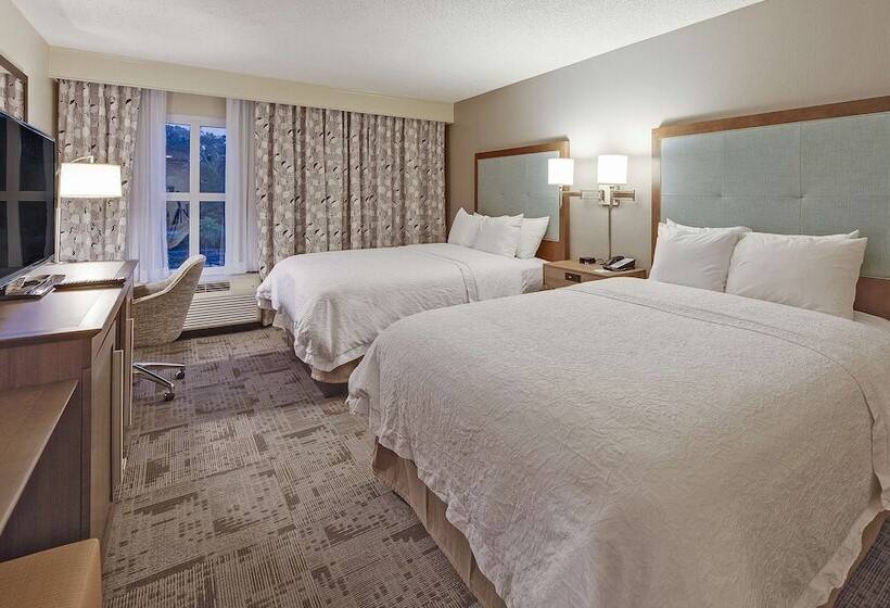 标准间带湖景, Hampton Inn Myrtle Beach Broadway At The Beach