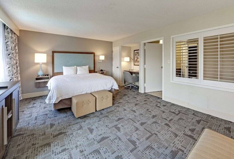 适合残疾人士使用的带超级大床的标准间, Hampton Inn Myrtle Beach Broadway At The Beach