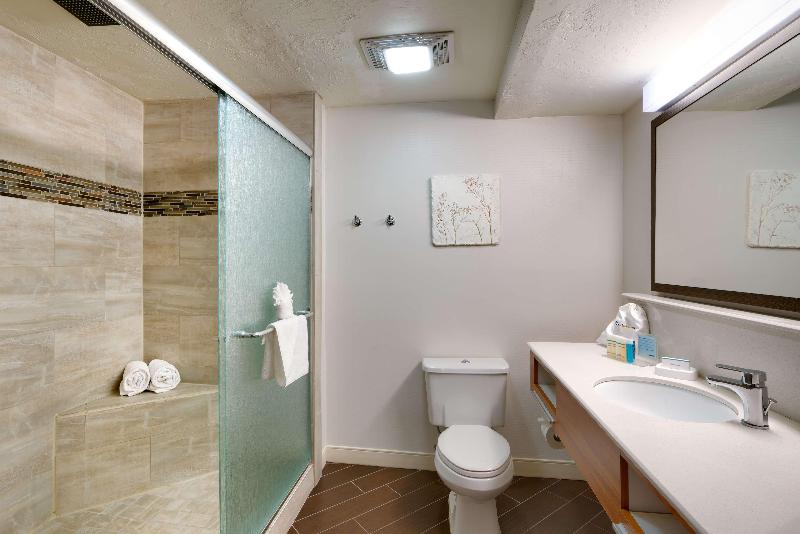 سوئیت با تخت بزرگ, Hampton Inn Salt Lake City Central