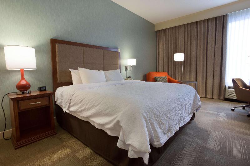 اتاق استاندارد با تخت بزرگ, Hampton Inn St. Louis Southwest