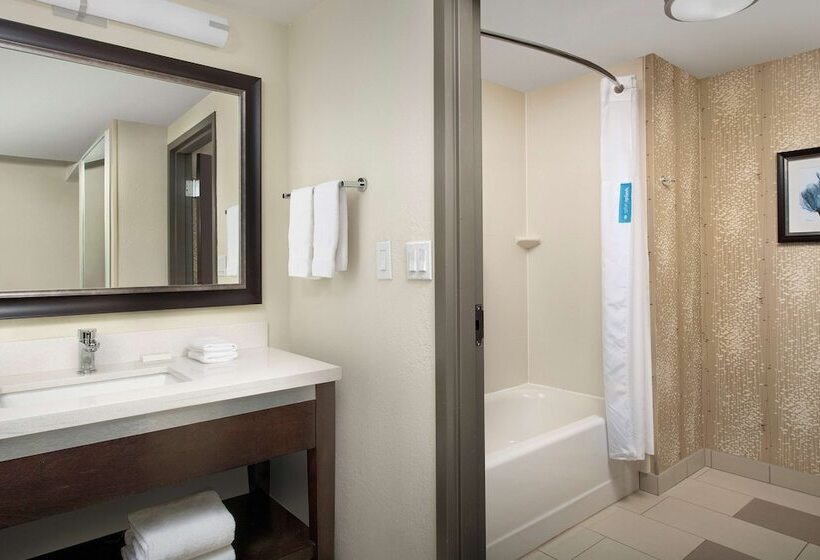 Standard Room 2 Double Beds, Hampton Inn & Suites Alpharetta