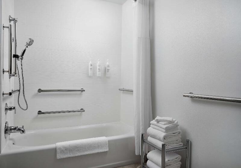 اتاق استاندارد, Hampton Inn & Suites Austindowntown/convention Center