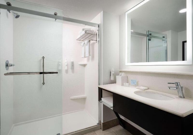 اتاق استاندارد با تخت بزرگ, Hampton Inn & Suites Austindowntown/convention Center