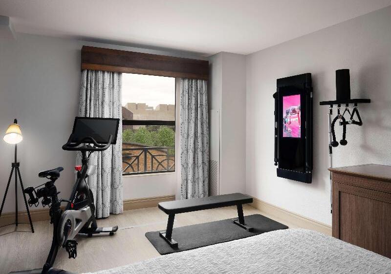 اتاق استاندارد با تخت بزرگ, Hampton Inn & Suites Austindowntown/convention Center