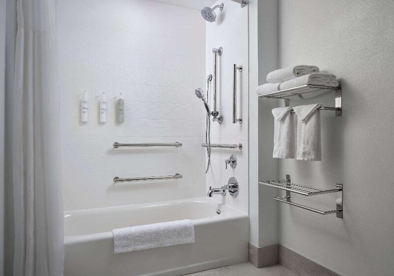 استودیو استاندارد با تخت کینگ, Hampton Inn & Suites Austindowntown/convention Center