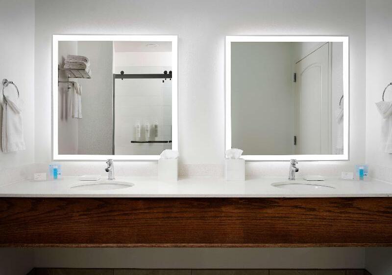 سوئیت با تخت بزرگ, Hampton Inn & Suites Austindowntown/convention Center