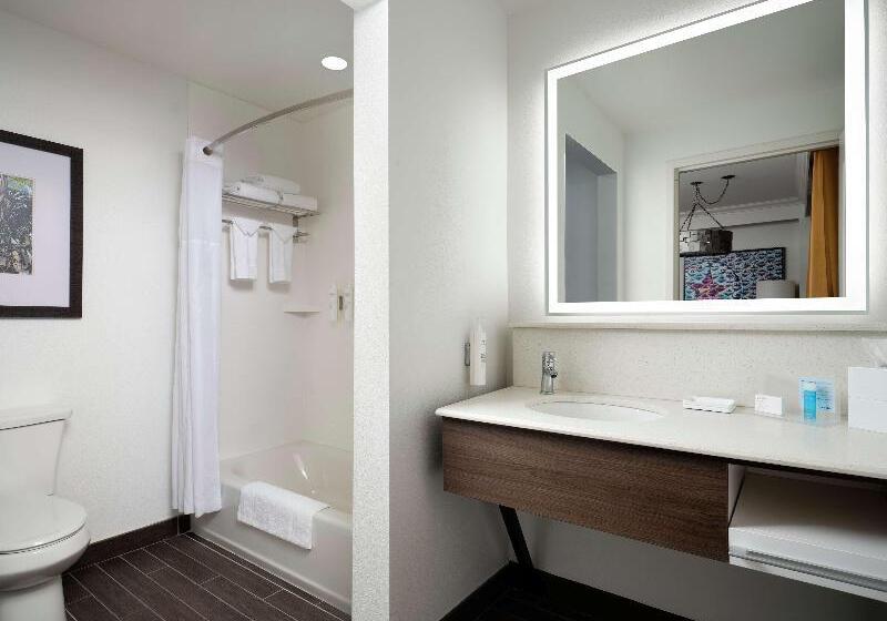 سوئیت با تخت بزرگ, Hampton Inn & Suites Austindowntown/convention Center