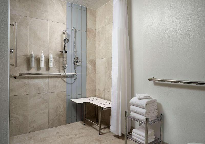 اتاق استاندارد, Hampton Inn & Suites Austindowntown/convention Center