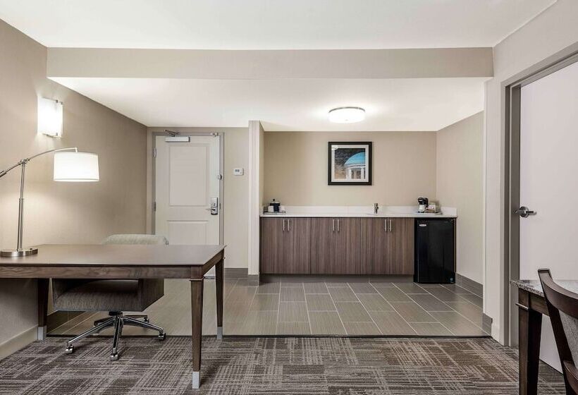 سوییت, Hampton Inn & Suites Chapel Hill/durham, Area