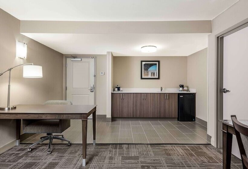 Suite, Hampton Inn & Suites Chapel Hill/durham, Area