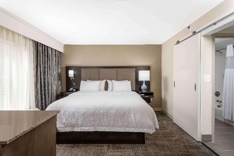 سوئیت با تخت بزرگ, Hampton Inn & Suites Chapel Hill/durham, Area