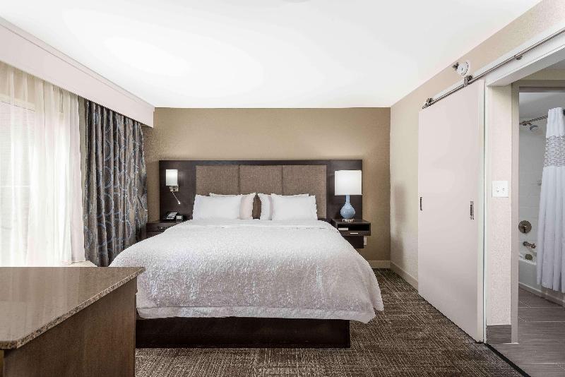 سوئیت با تخت بزرگ, Hampton Inn & Suites Chapel Hill/durham, Area