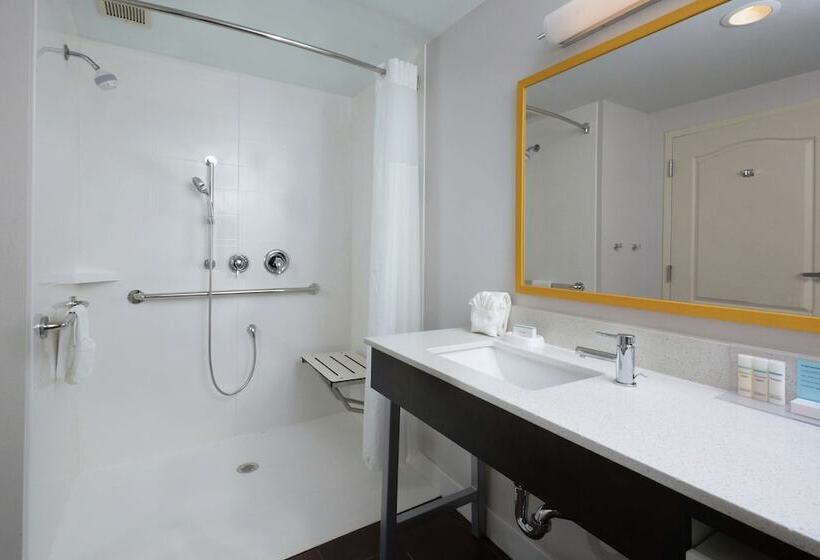اتاق استاندارد با تخت دوبل برای معلولان, Hampton Inn & Suites Greenville/spartanburg I85