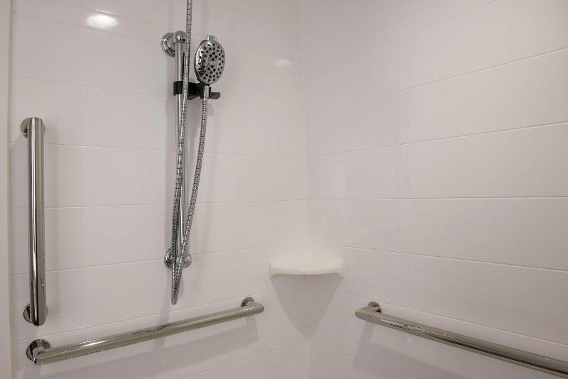 اتاق استاندارد با تخت بزرگ, Hampton Inn & Suites Legacy Parkfrisco