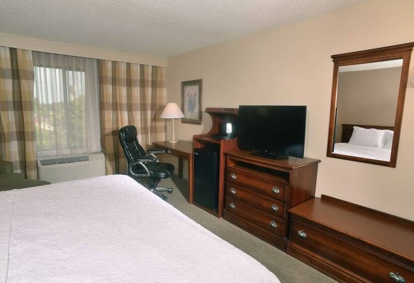 اتاق استاندارد با تخت دوبل, Hampton Inn & Suites Springfield