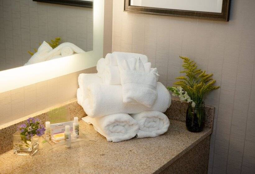 سوییت, Holiday Inn Greenville, An Ihg