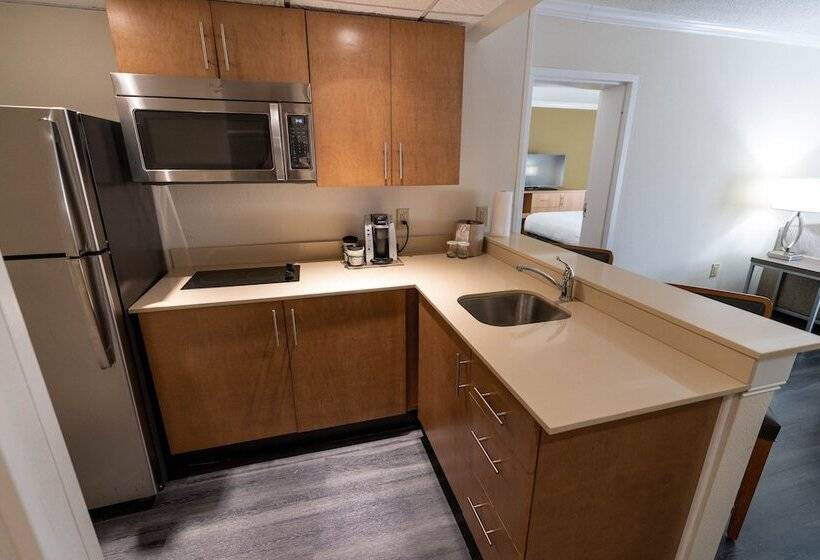 سوییت, Holiday Inn Greenville, An Ihg