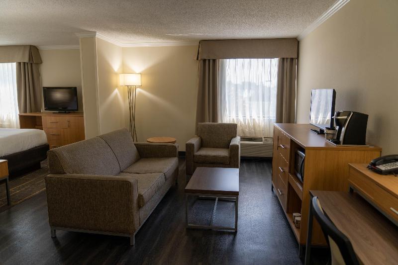 اتاق استاندارد با تخت بزرگ, Holiday Inn Greenville, An Ihg