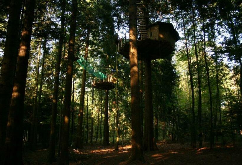 خانه 1 خوابه, Insolite Dans Les Arbres Les Ormes, Epiniac