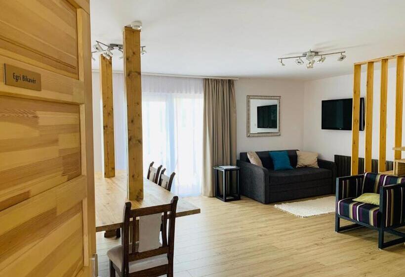 آپارتمان 1 خوابه با تراس, Egria Apartments