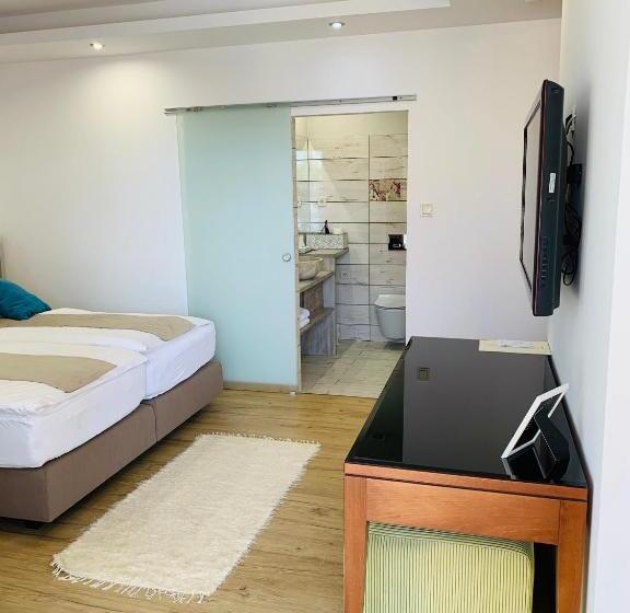استودیو استاندارد با بالکن, Egria Apartments