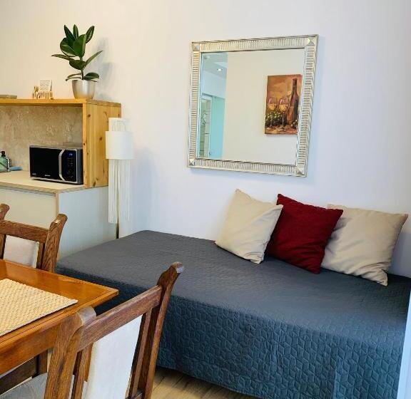 استودیو استاندارد با بالکن, Egria Apartments