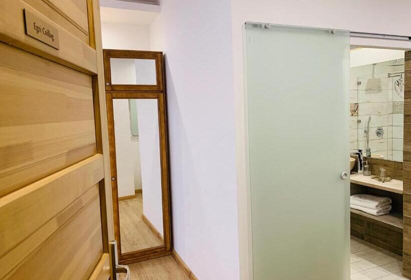 آپارتمان 1 خوابه با بالکن, Egria Apartments