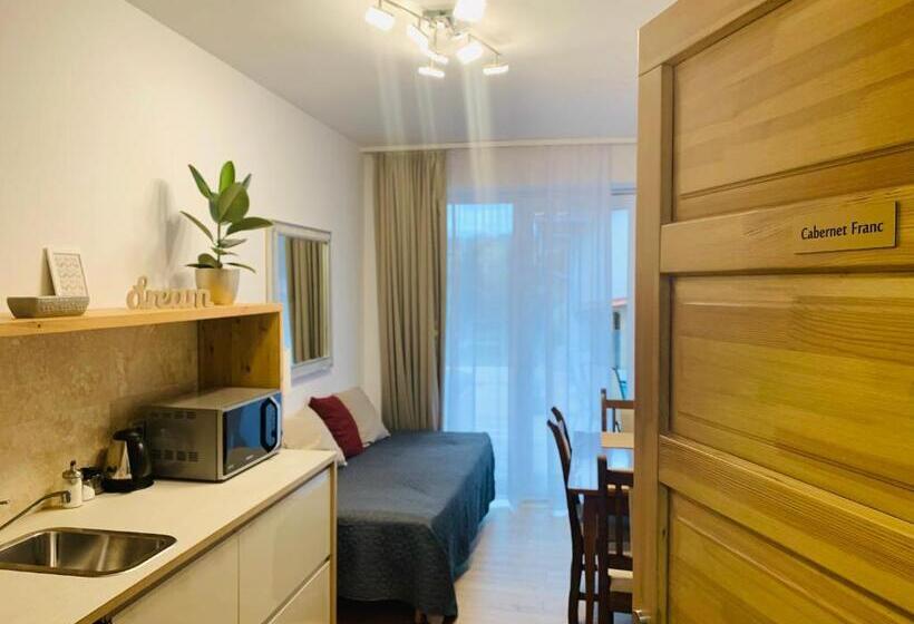 استودیو استاندارد با بالکن, Egria Apartments