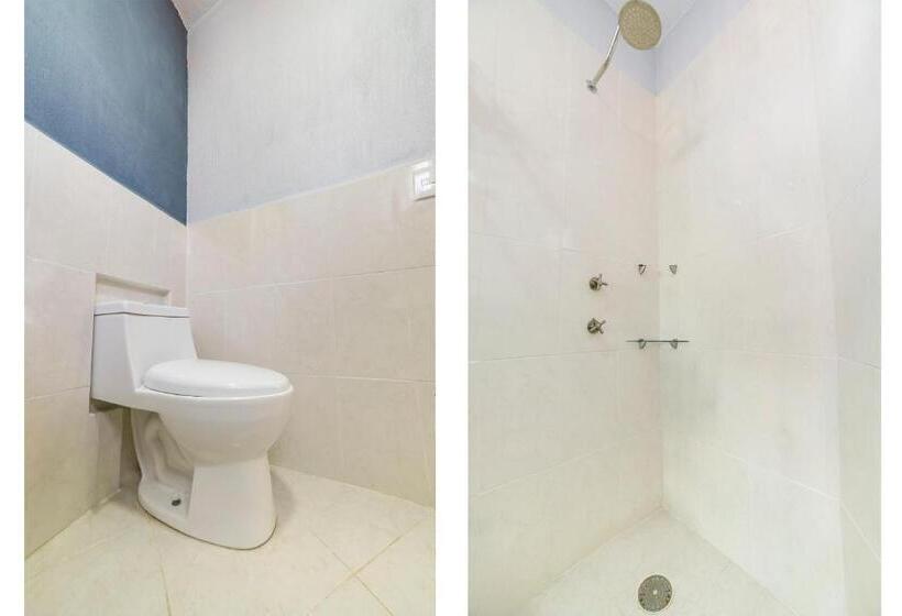 اتاق استاندارد, Casa Santa Fe, Guanajuato