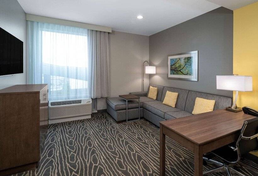 اتاق استاندارد با تخت دوبل برای معلولان, La Quinta Inn & Suites By Wyndham Tifton