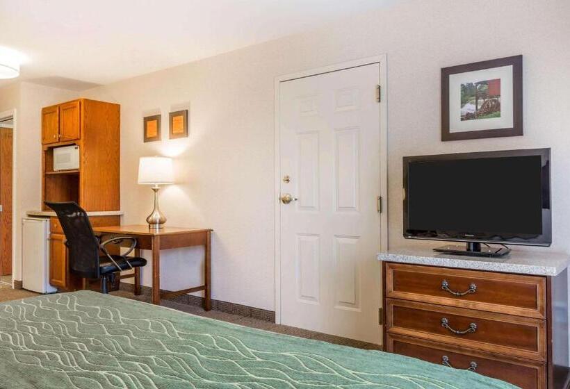 اتاق استاندارد با تخت بزرگ برای معلولان, Comfort Inn And Suites South Burlington