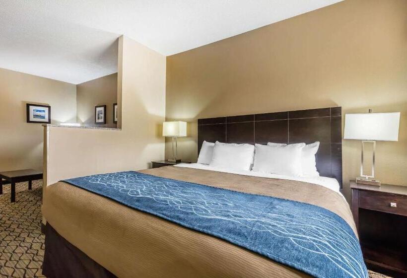 Standard Room King Size Bed, Comfort Inn & Suites Crystal Inn Sportsplex Gulfport