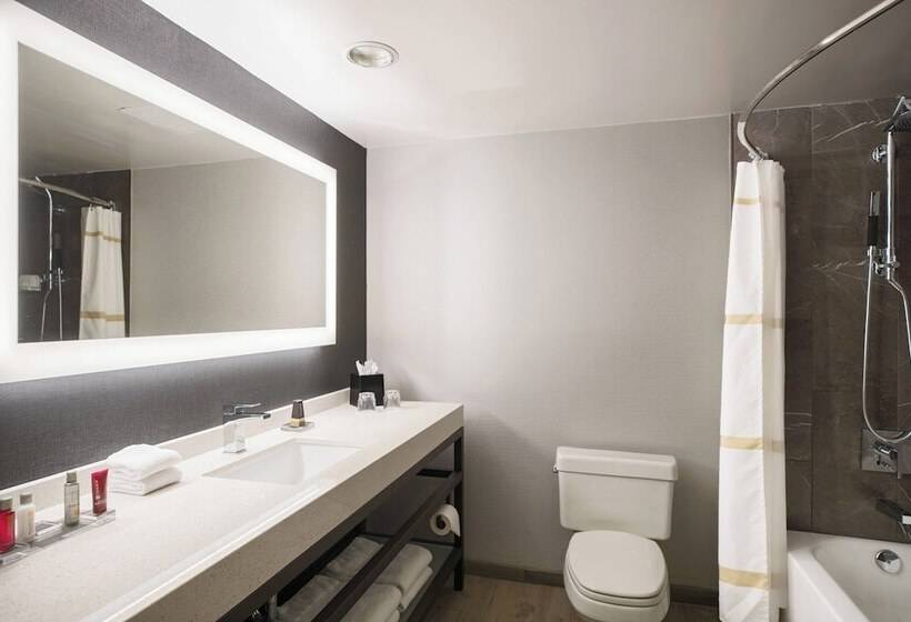 اتاق استاندارد با تخت دوبل, Courtyard By Marriott Chicago At Medical District Uic