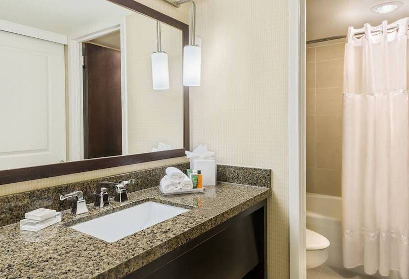 Quarto Estandar 2 Camas Casal, Hilton St. Louis At The Ballpark