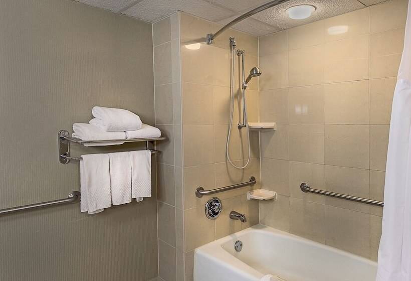 Standard Room Adapted for people with reduced mobility, Hilton St. Louis At The Ballpark