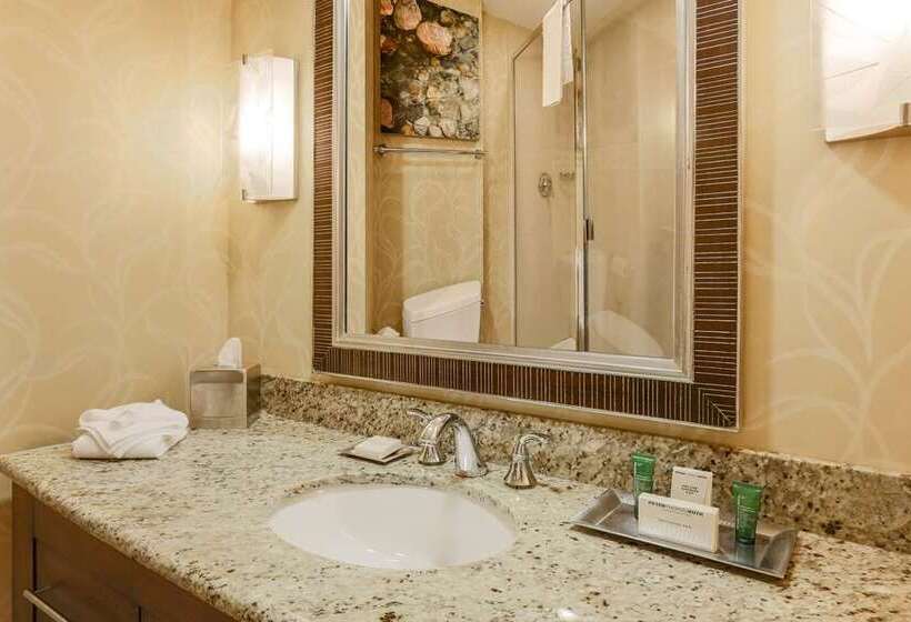اتاق پرمیوم, Hilton St. Louis At The Ballpark