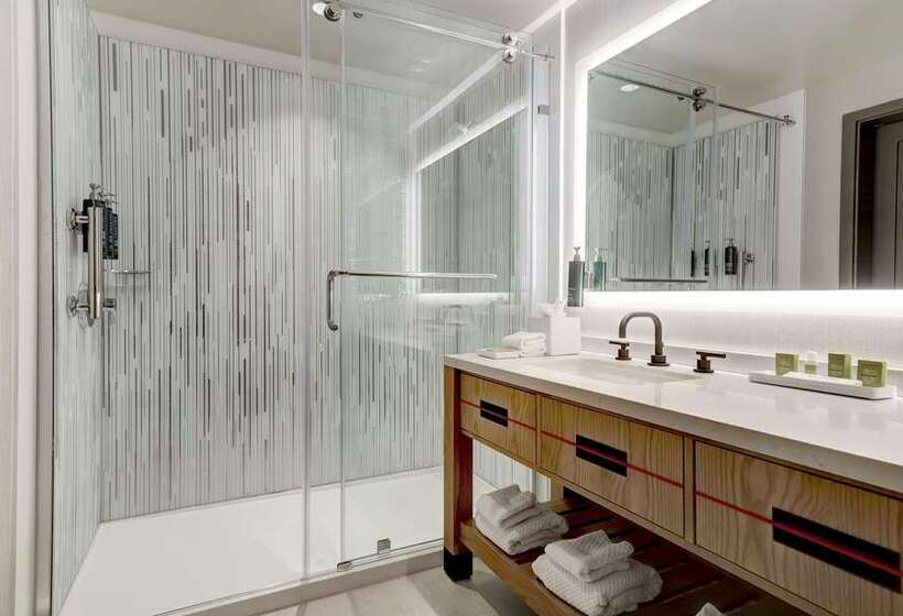 اتاق استاندارد با چشم‌انداز, Hilton St. Louis At The Ballpark
